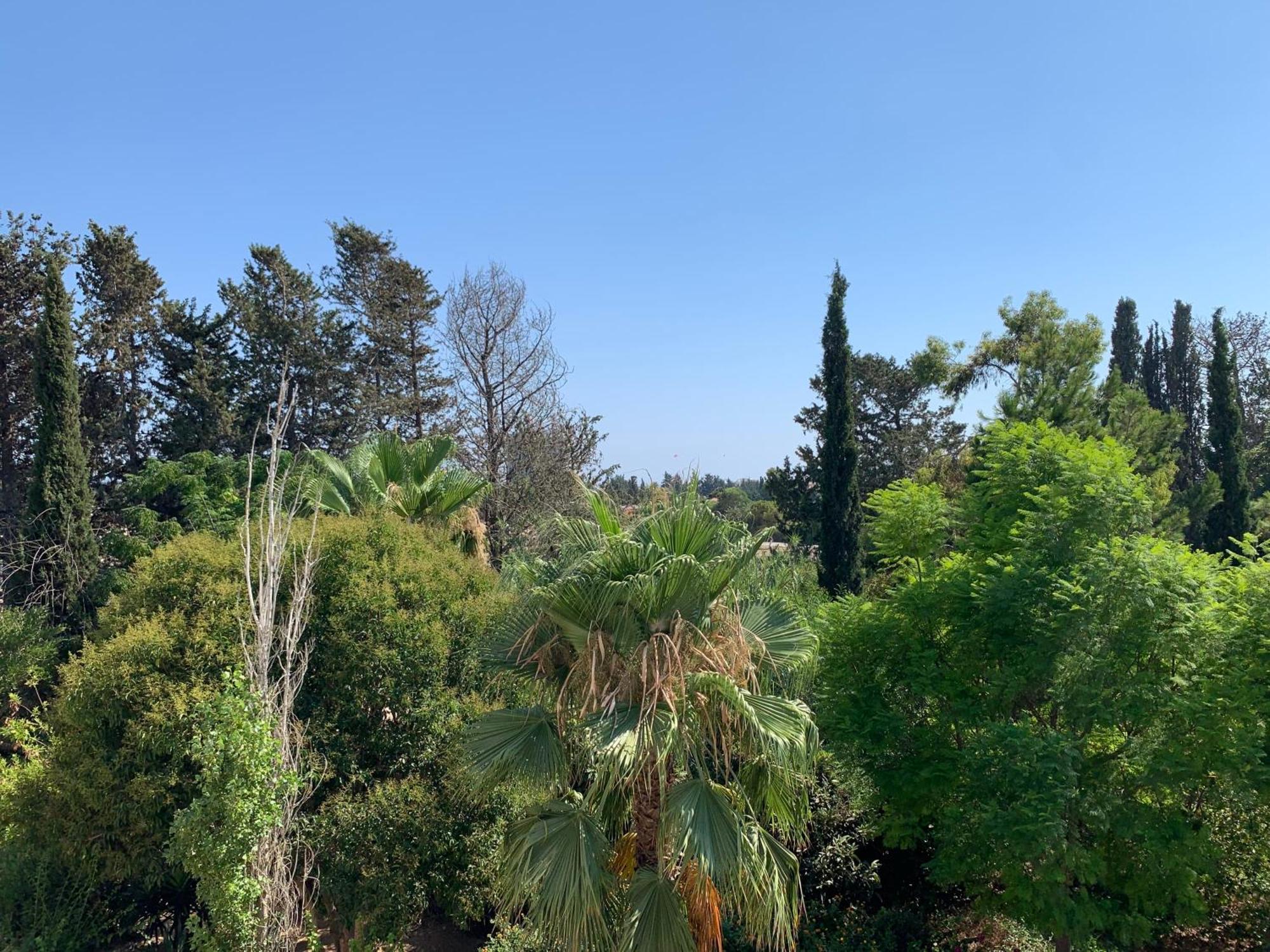 Paradise Gardens 3 - Superb 1 Bed Apartment Paphos